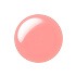 JILL STUART | Winter Limited Nectar Peach Lip Mask