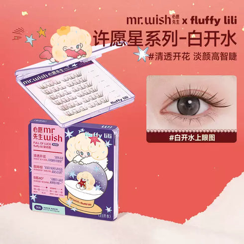 MR.WISH | Eyelash Collection