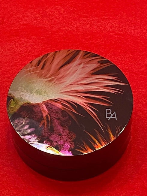 POLA | B.A Finishing Powser Pink Gerbera SPF20 PA++