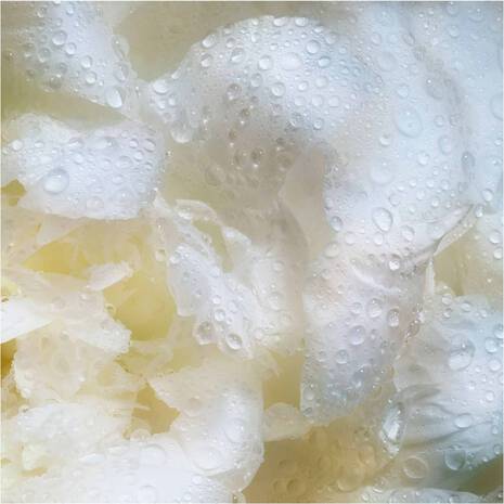 HELENA RUBINSTEIN | Prodigy Cellglow the Rich Dewy Essence