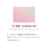 SUQQU | Blurring Color Blush