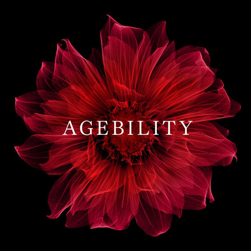 POLA | B.A Lotion Dahlia Limited Edition