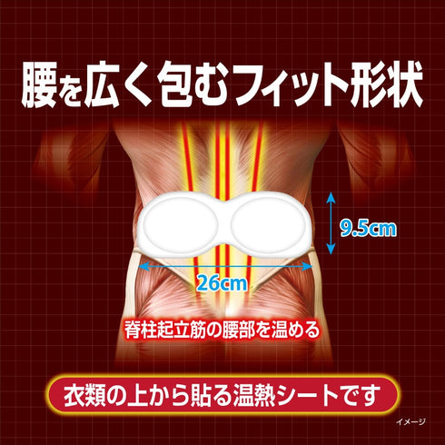 KOBAYASHI | Heating Patch For Low Back Pain