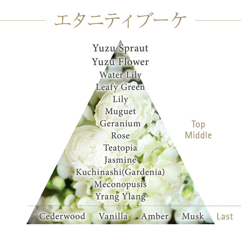 KANEBO | The Exceptional Cream Foundation