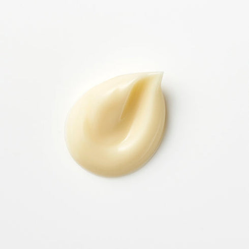HACCI | Fermentation Liquid Cream