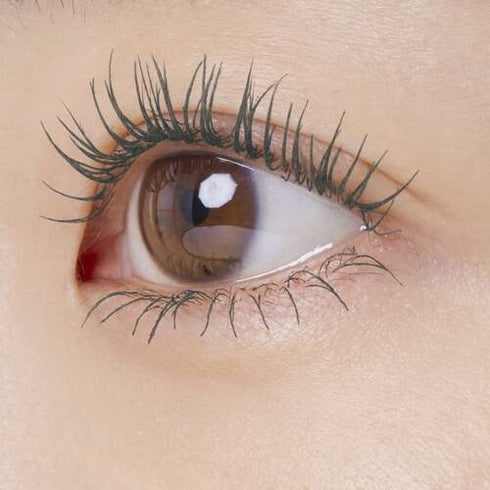 SHISEIDO | Ettusais Eye Edition Mascara Base G03