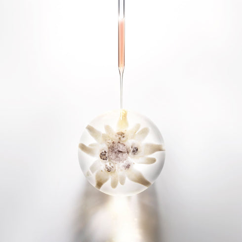 HELENA RUBINSTEIN | Prodigy Cellglow the Deep Renewing Concentrate