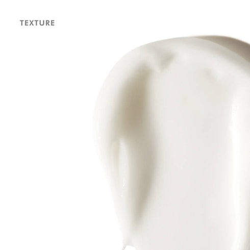 SKIN CEUTICALS | Triple Lipid Restore 2:4:2 Anti-aging Moisturiser