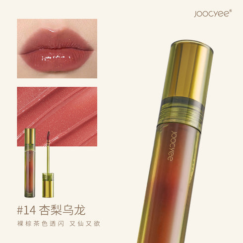 JOOCYEE | Floating Gold Mirror Retro Lip Glaze
