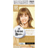 KAO | Liese Foam Bubble Hair Color