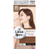 KAO | Liese Foam Bubble Hair Color