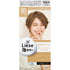 KAO | Liese Foam Bubble Hair Color