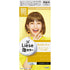KAO | Liese Foam Bubble Hair Color