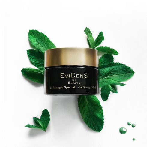 EVIDENS | The Special Mask