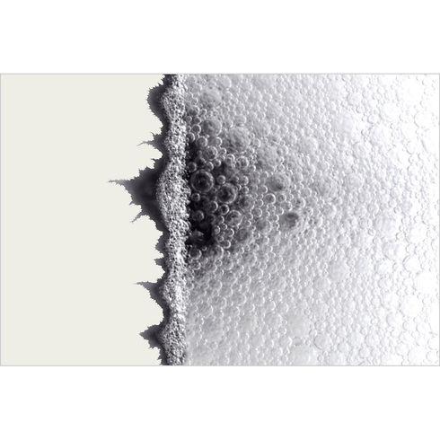 KAO | Magiclean Super Stain & Mold Removal Spray